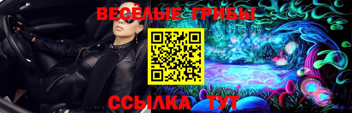 Галлюциногенные грибы Psilocybe  купить наркотики цена  Северск  Вход с VPN 