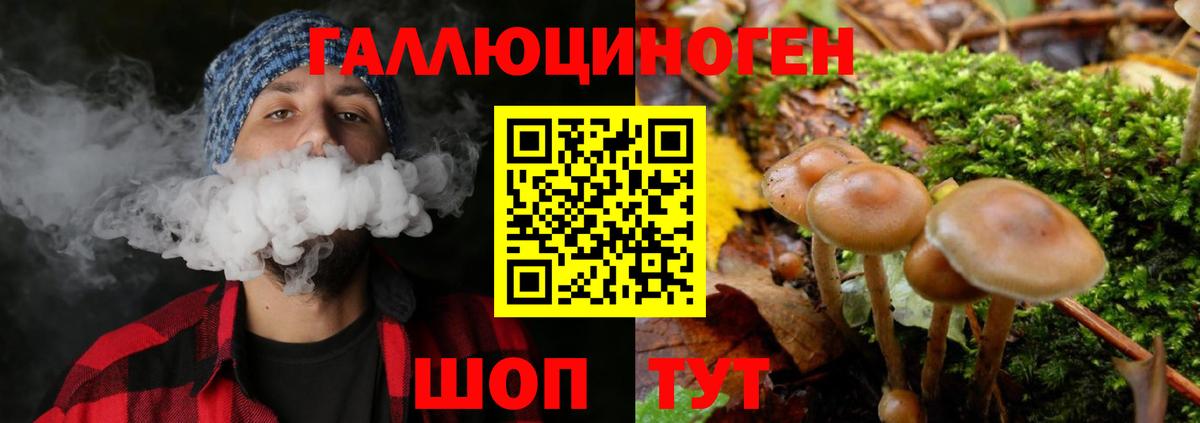 Галлюциногенные грибы Magic Shrooms Северск
